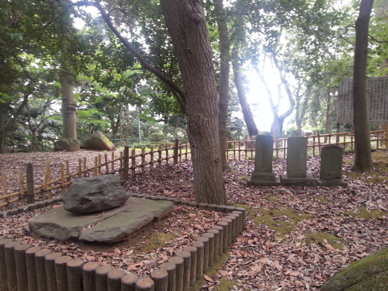 f:id:massneko:20130720143854j:plain