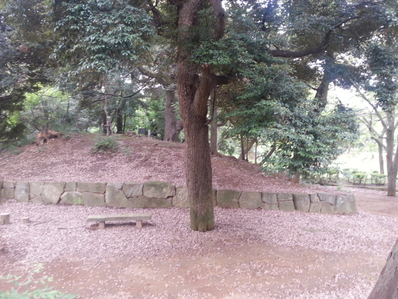 f:id:massneko:20130720144448j:plain