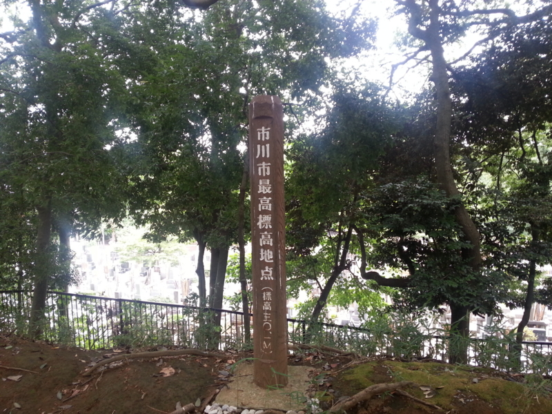 f:id:massneko:20130720144700j:plain