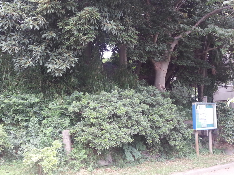 f:id:massneko:20130720151921j:plain