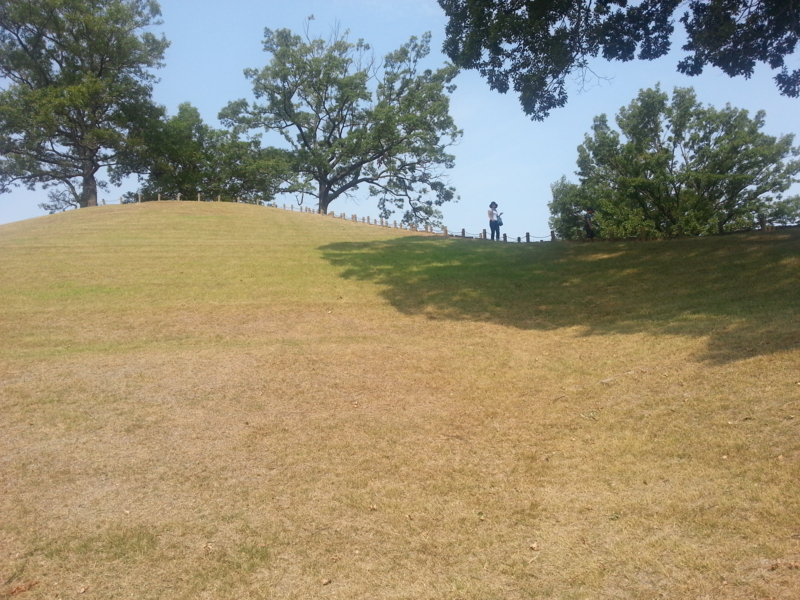 f:id:massneko:20130809084329j:plain
