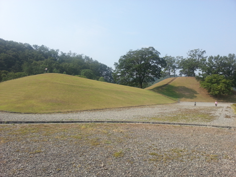 f:id:massneko:20130809084717j:plain