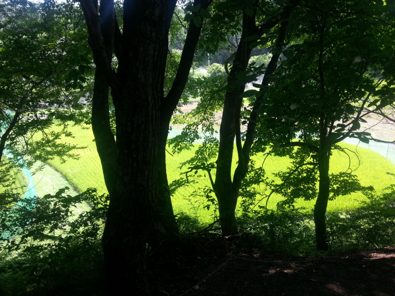 f:id:massneko:20130809132414j:plain