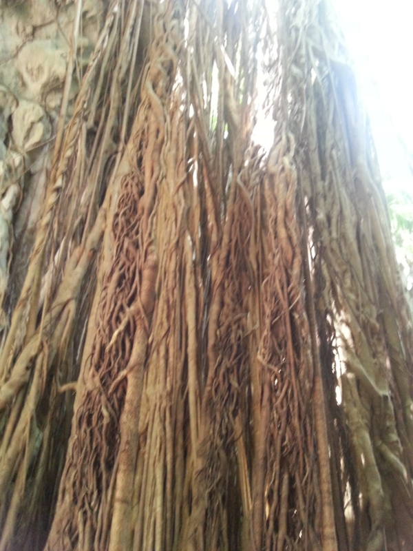 f:id:massneko:20130825105423j:plain