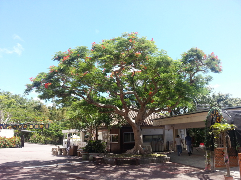 f:id:massneko:20130825112301j:plain