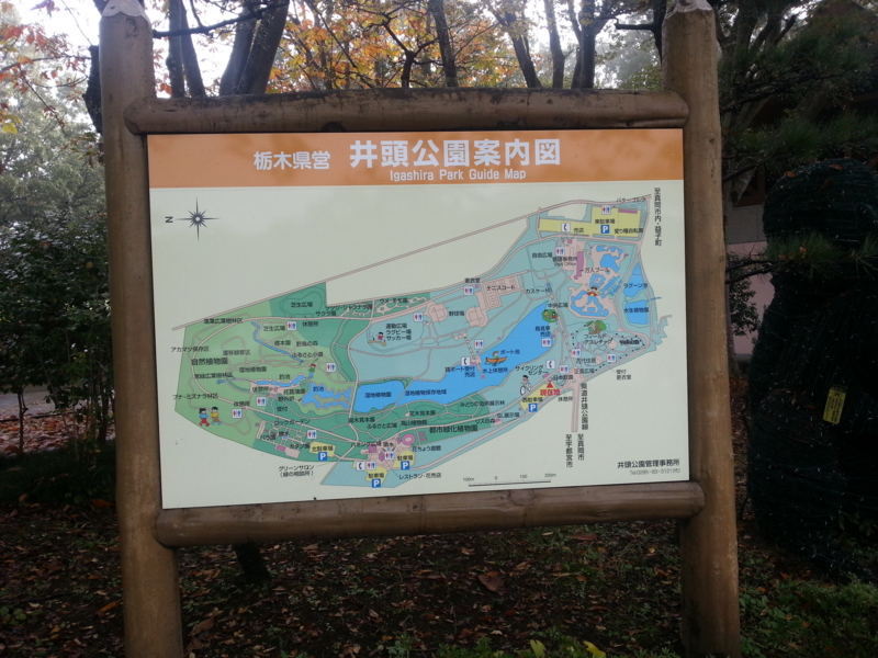f:id:massneko:20131027091647j:plain