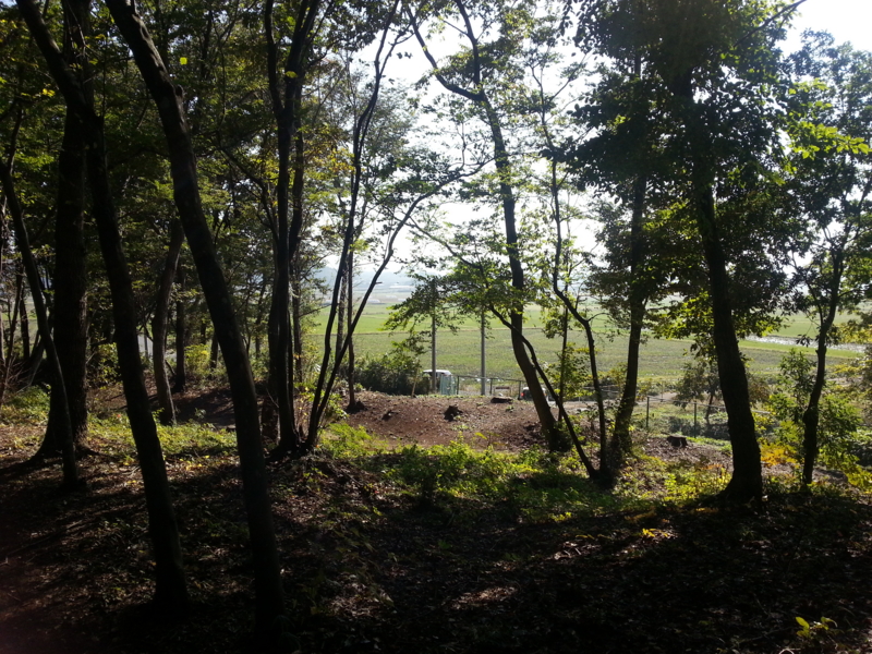 f:id:massneko:20131027095846j:plain