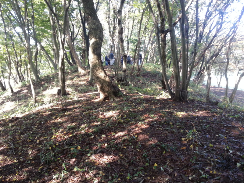 f:id:massneko:20131027095940j:plain