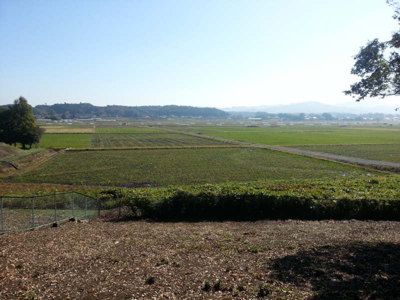 f:id:massneko:20131027101051j:plain