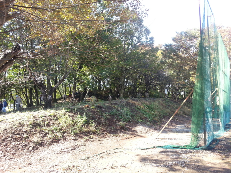 f:id:massneko:20131027101116j:plain
