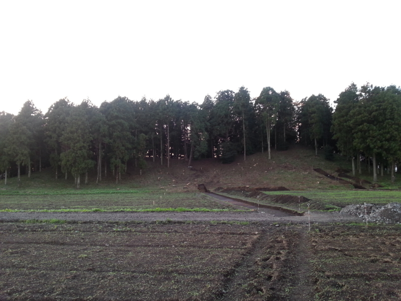 f:id:massneko:20131027164040j:plain