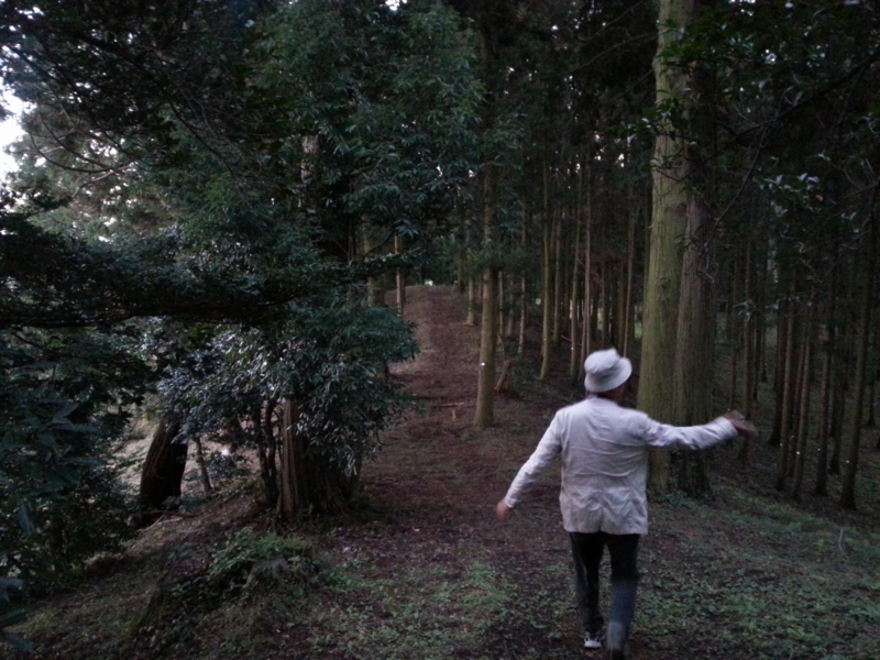 f:id:massneko:20131027165208j:plain