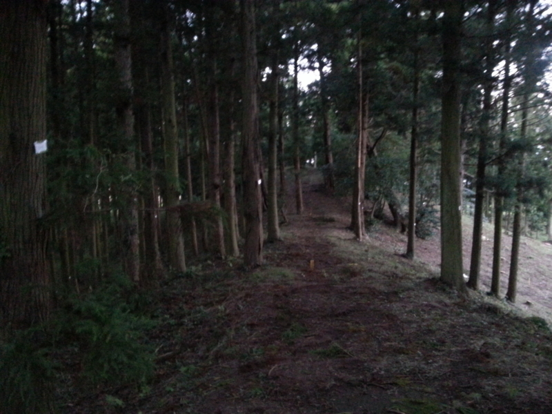 f:id:massneko:20131027165255j:plain