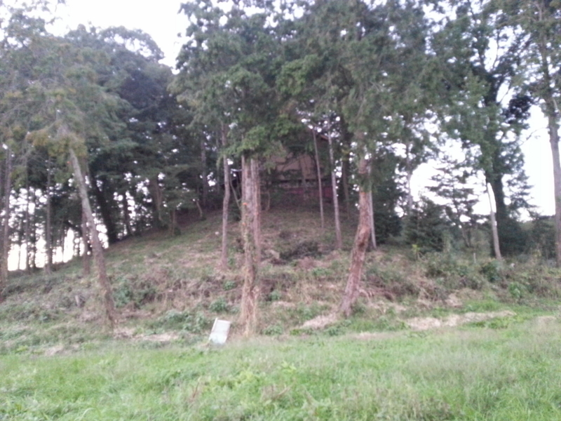 f:id:massneko:20131027165637j:plain