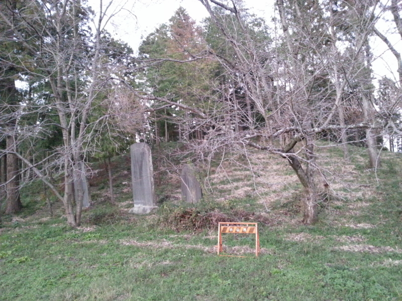 f:id:massneko:20131027165803j:plain