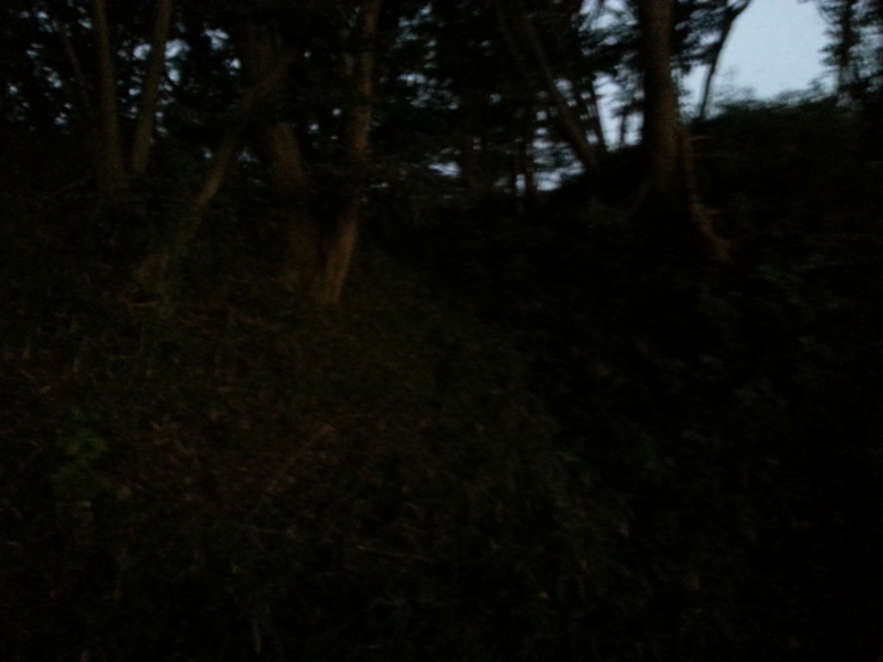 f:id:massneko:20131027170738j:plain