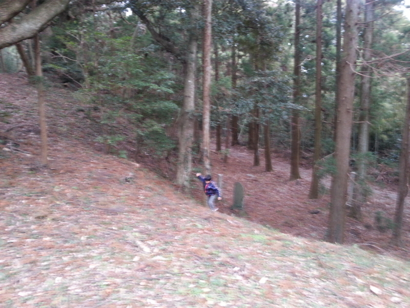 f:id:massneko:20131208152815j:plain