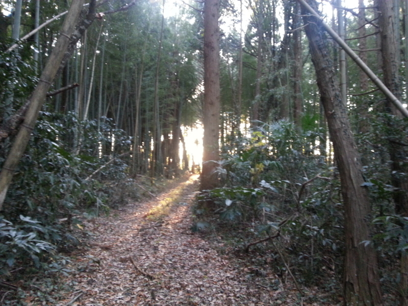 f:id:massneko:20131215152354j:plain f:id:massneko:20131215152354j:plain