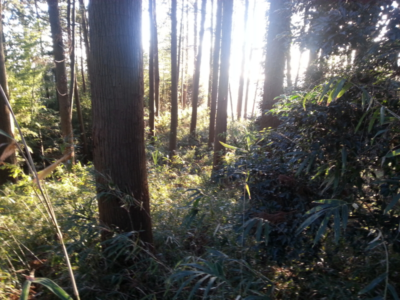 f:id:massneko:20131215153115j:plain f:id:massneko:20131215153115j:plain