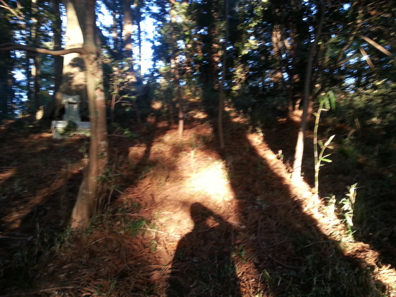 f:id:massneko:20131215153510j:plain f:id:massneko:20131215153510j:plain
