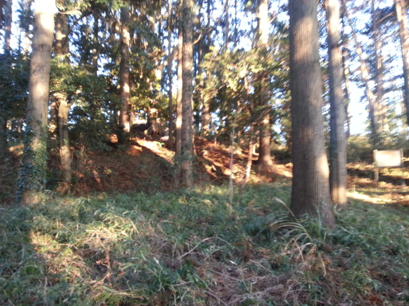 f:id:massneko:20131215153612j:plain f:id:massneko:20131215153612j:plain