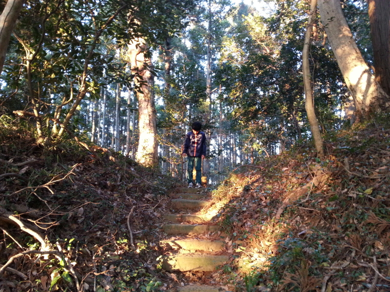 f:id:massneko:20131215154934j:plain f:id:massneko:20131215154934j:plain