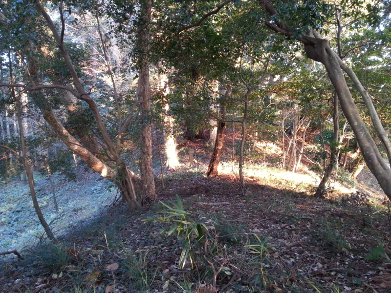 f:id:massneko:20131215155136j:plain f:id:massneko:20131215155136j:plain
