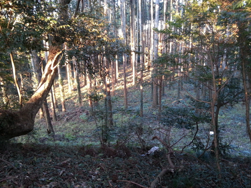 f:id:massneko:20131215155144j:plain f:id:massneko:20131215155144j:plain