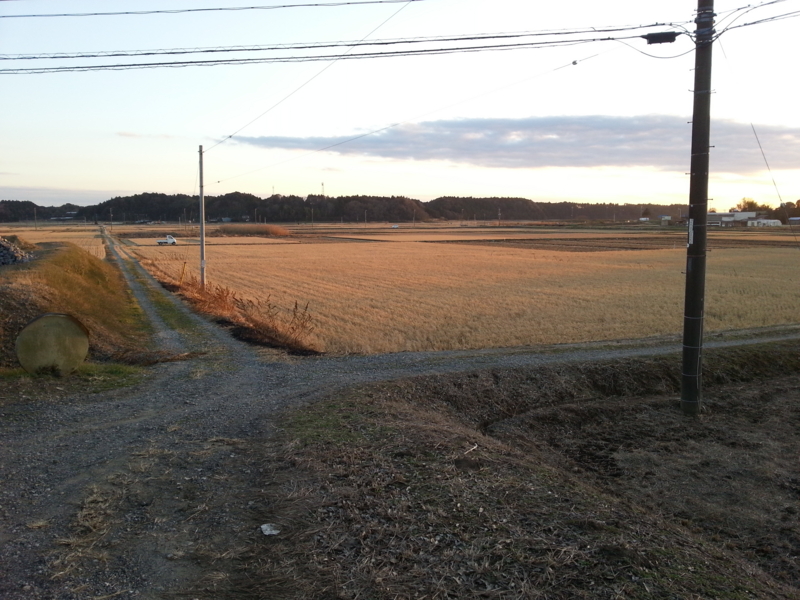 f:id:massneko:20131215160406j:plain f:id:massneko:20131215160406j:plain