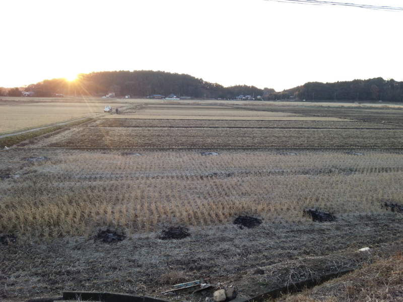 f:id:massneko:20131215160411j:plain f:id:massneko:20131215160411j:plain