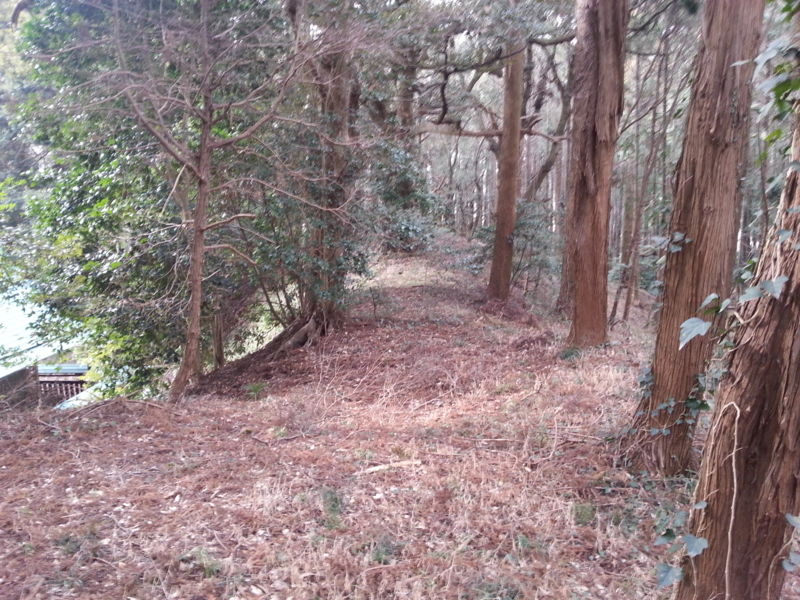 f:id:massneko:20140125134935j:plain