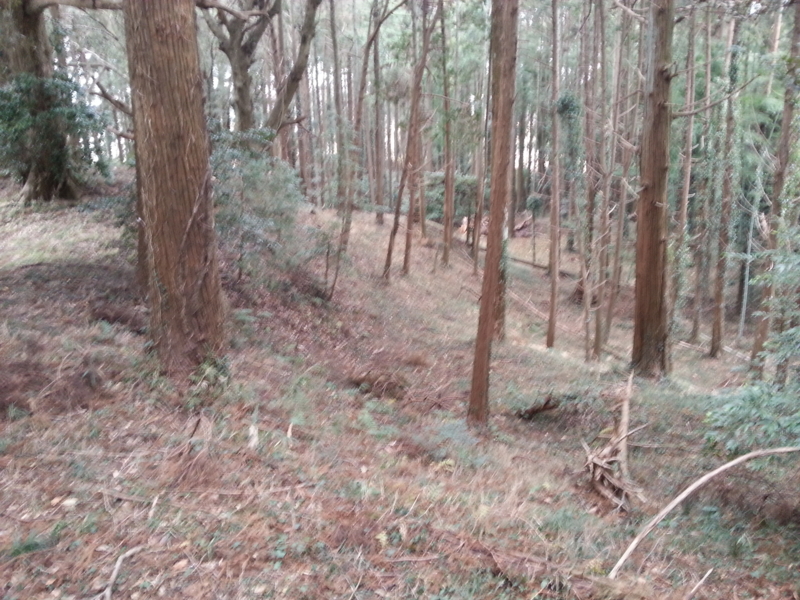 f:id:massneko:20140125135000j:plain