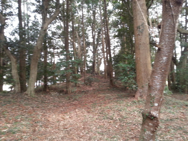 f:id:massneko:20140125135239j:plain