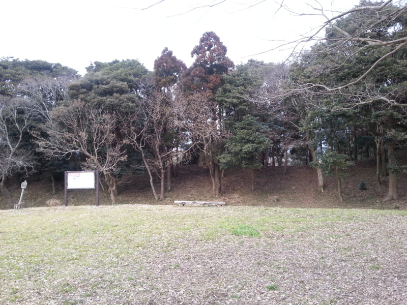 f:id:massneko:20140126153151j:plain