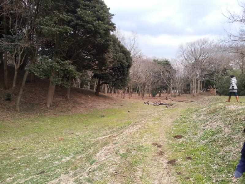 f:id:massneko:20140126153311j:plain