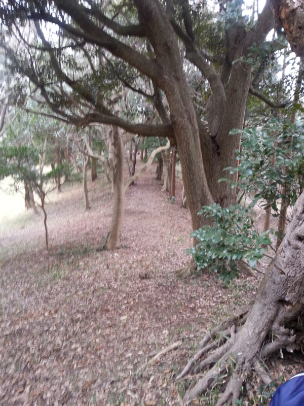 f:id:massneko:20140126153523j:plain