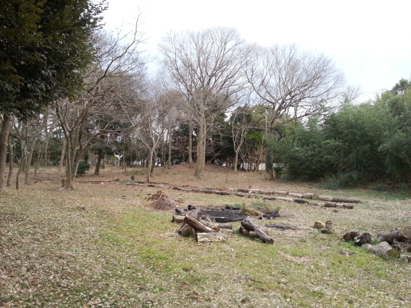 f:id:massneko:20140126153653j:plain