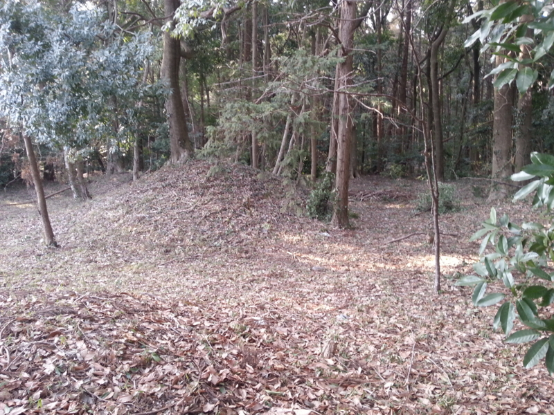 f:id:massneko:20140223150919j:plain