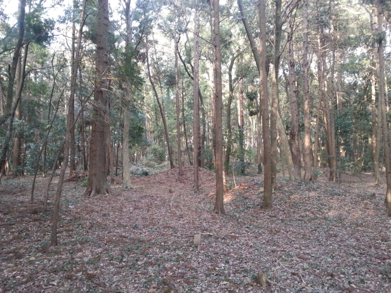 f:id:massneko:20140223150940j:plain