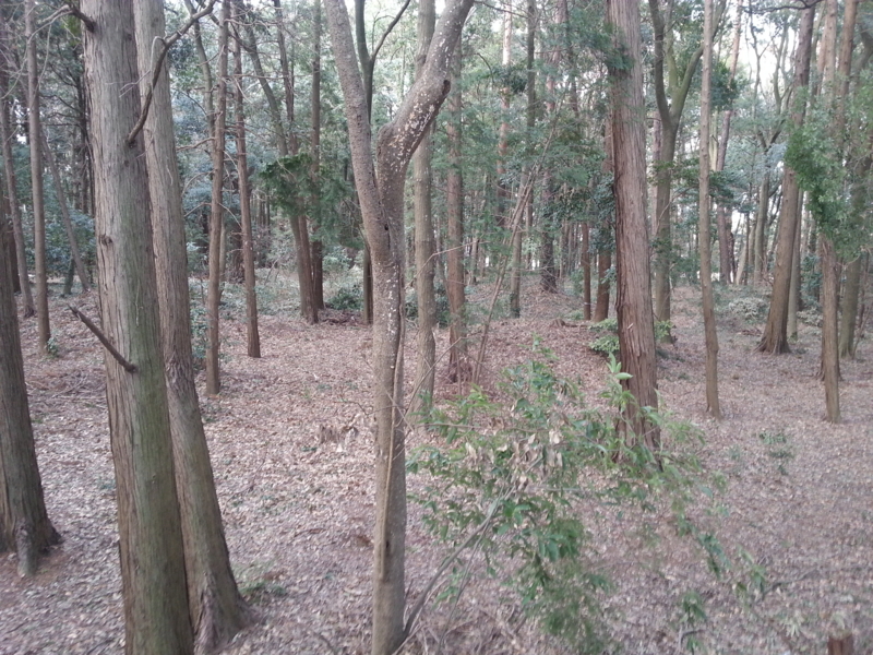 f:id:massneko:20140223151008j:plain