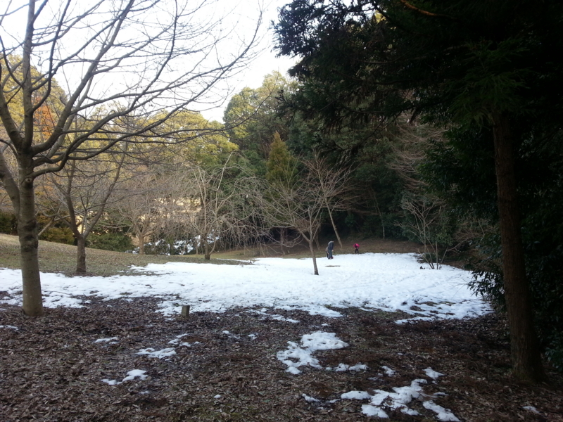 f:id:massneko:20140223153742j:plain