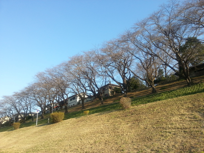 f:id:massneko:20140322162949j:plain f:id:massneko:20140322162949j:plain