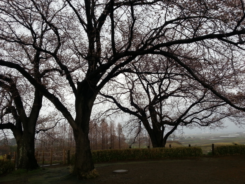 f:id:massneko:20140330162839j:plain f:id:massneko:20140330162839j:plain