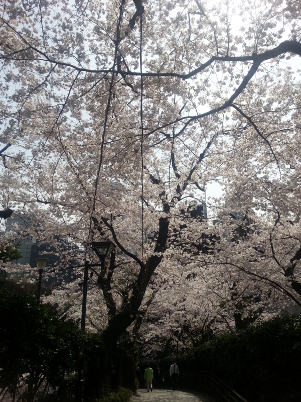 f:id:massneko:20140401123233j:plain f:id:massneko:20140401123233j:plain