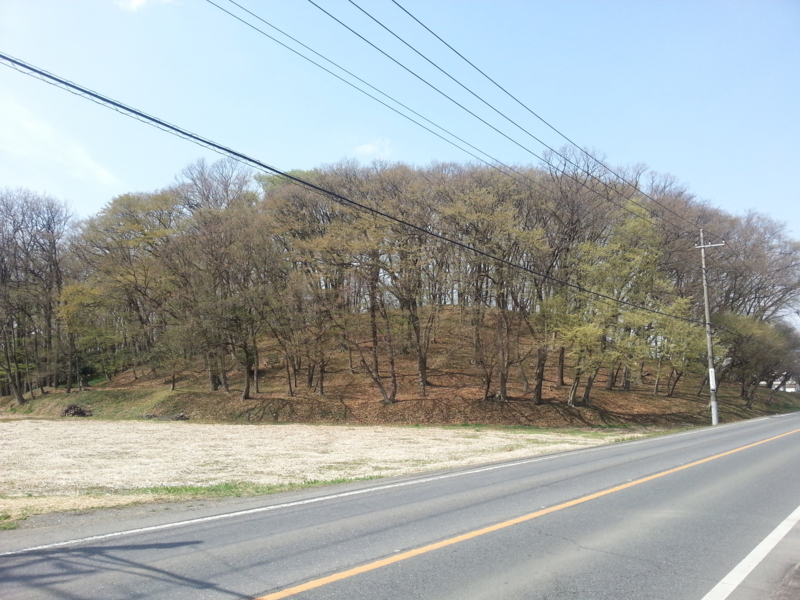 f:id:massneko:20140402105449j:plain