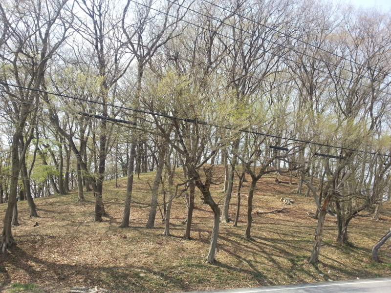 f:id:massneko:20140402105544j:plain