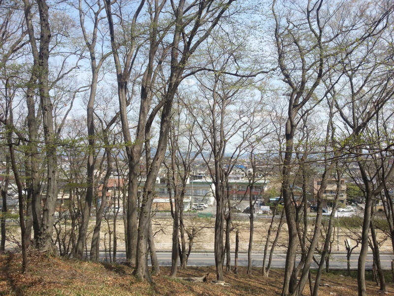 f:id:massneko:20140402105736j:plain