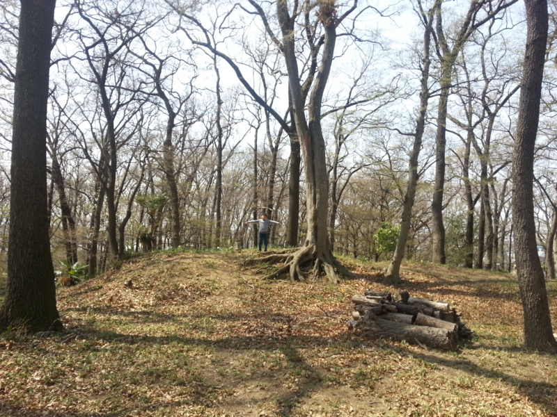 f:id:massneko:20140402105741j:plain