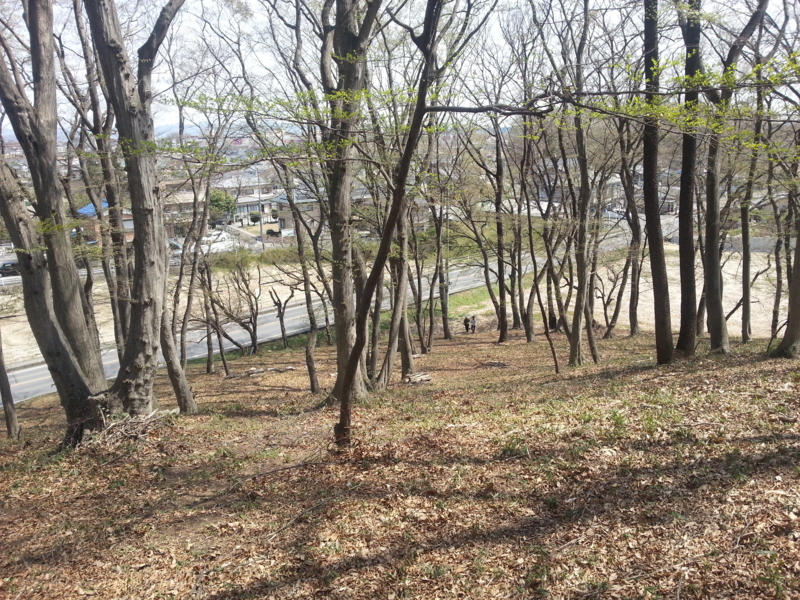 f:id:massneko:20140402105754j:plain