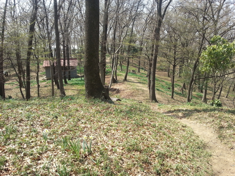 f:id:massneko:20140402105822j:plain